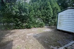10407 N 25th St, Tampa, FL 33612 - Photo 16