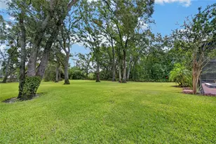 16317 Emerald Cove, Lutz, FL 33549 - Photo 68