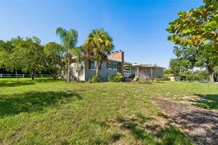 302 Deer Park Ave, Tampa, FL 33617 - Photo 40