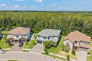 29818 Picana Ln, Wesley Chapel, FL 33543 - Photo 48