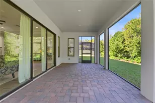 29818 Picana Ln, Wesley Chapel, FL 33543 - Photo 40