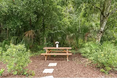 29818 Picana Lane, Wesley Chapel, FL 33543 - Photo 42