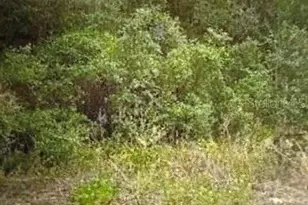 Walton, Dunnellon, FL 34434 - Photo 1