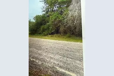 Walton, Dunnellon, FL 34434 - Photo 4