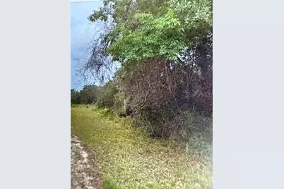 Walton, Dunnellon, FL 34434 - Photo 2
