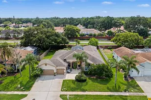 2093 Swan Ln, Palm Harbor, FL 34683 - Photo 50