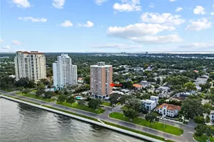 4015 Bayshore Blvd, Tampa, FL 33611 - Photo 6