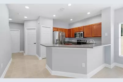 20402 Needletree Drive, Tampa, FL 33647 - Photo 4