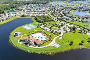 5049 Ivory Stone Dr, Wimauma, FL 33598 - Photo 48