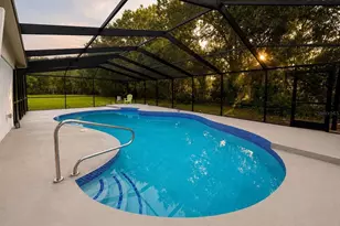 17238 Bridlepath Ct, Lutz, FL 33558 - Photo 4