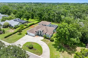 1079 Riverside Ridge Rd, Tarpon Springs, FL 34688 - Photo 26