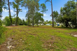 4235 Castle Ave, Spring Hill, FL 34609 - Photo 68