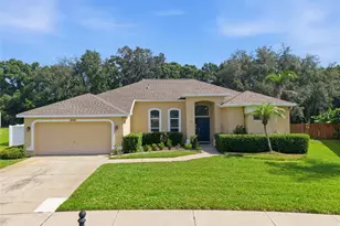 4704 Red Warbler Ln, Valrico, FL 33596 - Photo 4