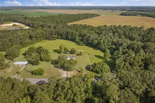 5093 Hwy 273, Campbellton, FL 32426 - Photo 12