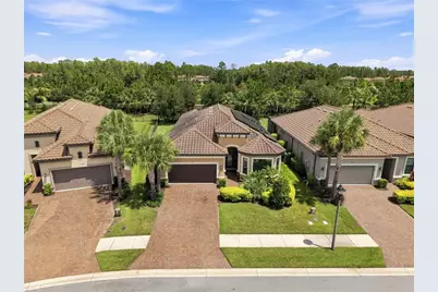 11301 Juglans Drive, Odessa, FL 33556 - Photo 2