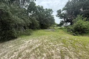 11819 Balm Riverview Rd, Riverview, FL 33569 - Photo 26