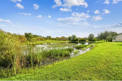 11232 Port Douglas Drive, New Port Richey, FL 34654 - Photo 20