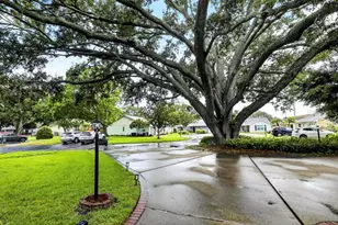 852 Franklin Cir, Palm Harbor, FL 34683 - Photo 26
