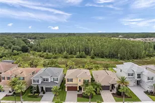 32203 Mahogany Dr, Wesley Chapel, FL 33543 - Photo 62