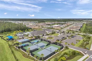 32203 Mahogany Dr, Wesley Chapel, FL 33543 - Photo 68