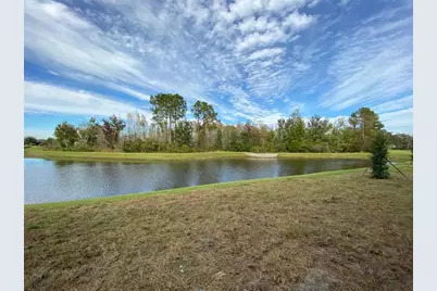 11651 Castine Street, New Port Richey, FL 34654 - Photo 4