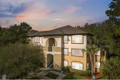 17110 Carrington Park Drive #832, Tampa, FL 33647 - Photo 1