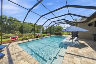 408 Hawk Talon Drive, Lithia, FL 33547 - Photo 44