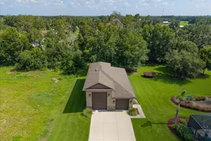 408 Hawk Talon Drive, Lithia, FL 33547 - Photo 56