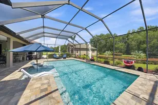 408 Hawk Talon Drive, Lithia, FL 33547 - Photo 46