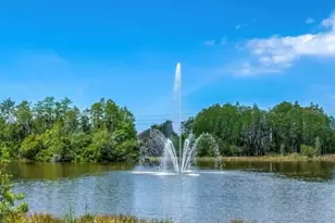 10409 Crimson Park Ln, Tampa, FL 33626 - Photo 24