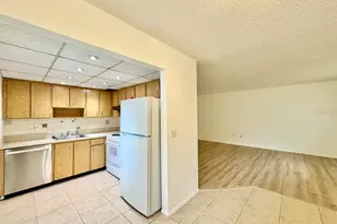 11703 Raintree Village Blvd, Tampa, FL 33617 - Photo 6
