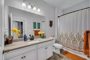 11505 Cambium Crown Dr, Riverview, FL 33569 - Photo 6