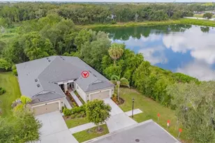 11505 Cambium Crown Dr, Riverview, FL 33569 - Photo 28