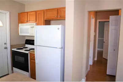 1219 E Frierson Avenue, Tampa, FL 33603 - Photo 8