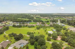 12442 Forest Highlands Dr, Dade City, FL 33525 - Photo 60