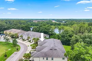14140 Damselfly Dr, Tampa, FL 33625 - Photo 52