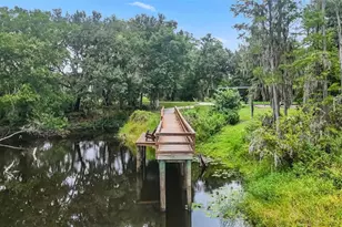 14140 Damselfly Dr, Tampa, FL 33625 - Photo 58