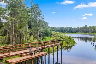 14140 Damselfly Dr, Tampa, FL 33625 - Photo 46