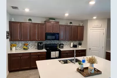 10460 Carloway Hills Drive, Wimauma, FL 33598 - Photo 2