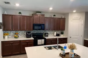 10460 Carloway Hills Dr, Wimauma, FL 33598 - Photo 2