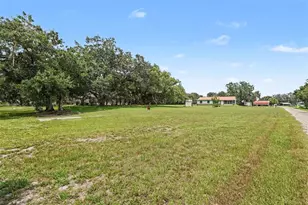 3149 Sydney Dover Rd, Dover, FL 33527 - Photo 2