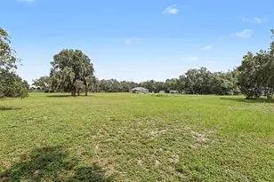 3149 Sydney Dover Rd, Dover, FL 33527 - Photo 28