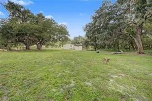 3935 Ewell Rd, Lakeland, FL 33811 - Photo 36