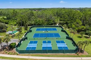 8046 Ponkan Rd, Land O Lakes, FL 34637 - Photo 34