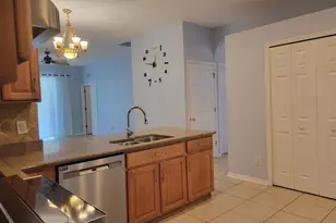 30541 Norseman Pl, Wesley Chapel, FL 33545 - Photo 8