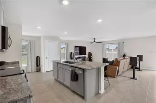 13646 Mount Ivy Ct, Dade City, FL 33525 - Photo 14