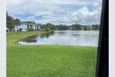 333 Woodlake Wynde, Oldsmar, FL 34677 - Photo 32