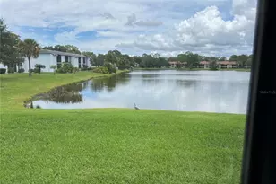 333 Woodlake Wynde, Oldsmar, FL 34677 - Photo 32