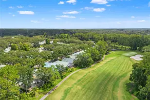 6005 Fairway Palms Ct, Tampa, FL 33647 - Photo 2