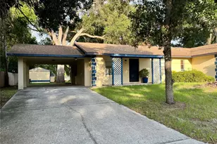 705 Bayou Ave, Tarpon Springs, FL 34689 - Photo 2